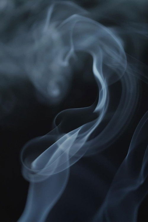 The Cannabis Question (2021) poster