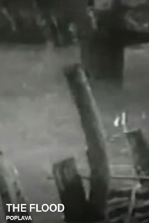 The Flood (1953) poster