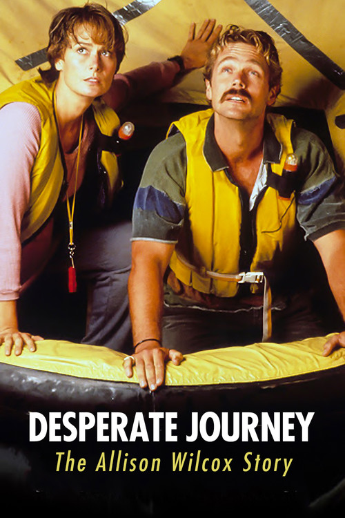 Desperate Journey: The Allison Wilcox Story (1993) poster