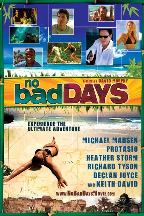 No Bad Days (2008) poster