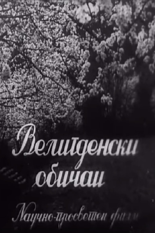 Easter Customs (1954) poster