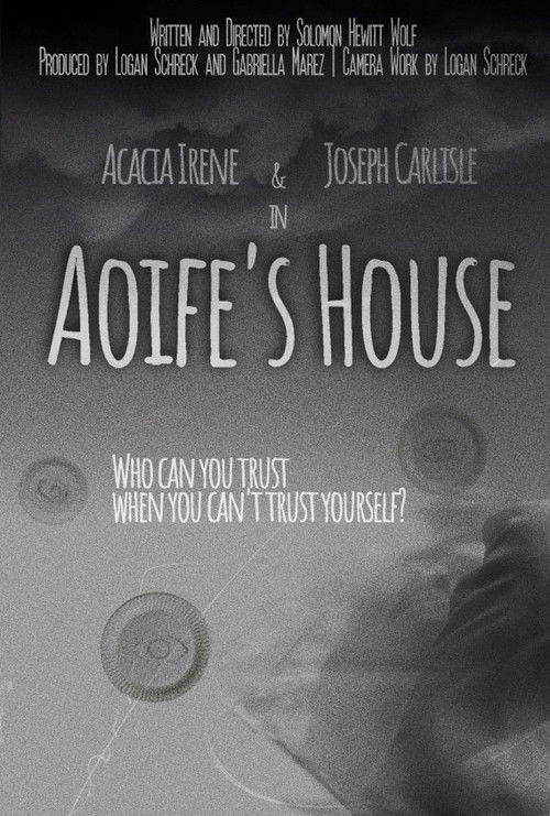 Aoife's House (2025) poster