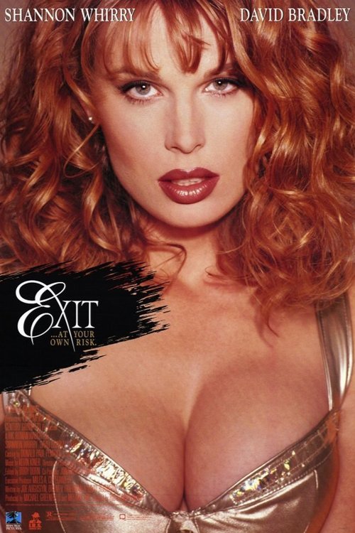 Exit (1996) poster
