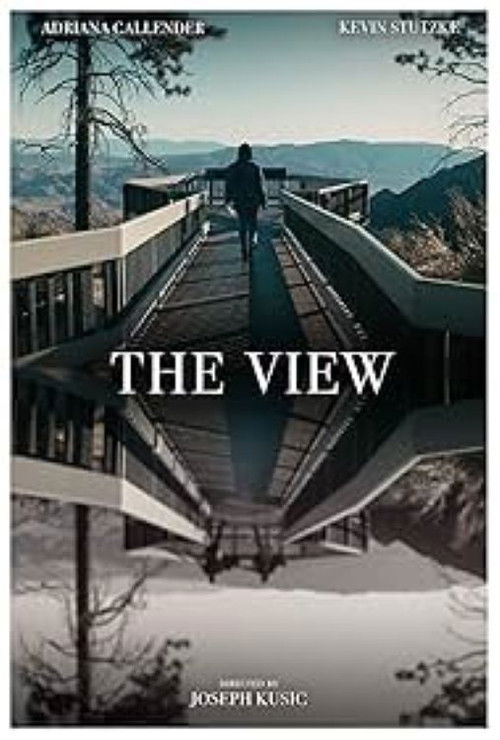 The View (2021) poster