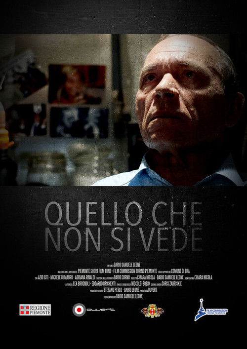 Quello che non si vede (2015) poster
