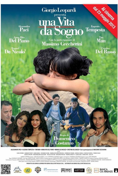 Una vita da sogno (2013) poster