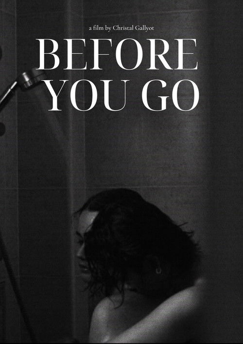 Before You Go (2023) poster