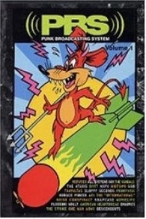 PBS: Punk Broadcasting System (2001) poster