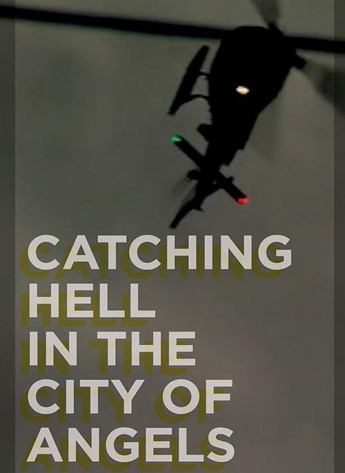 Catching Hell in the City of Angels (2013) poster