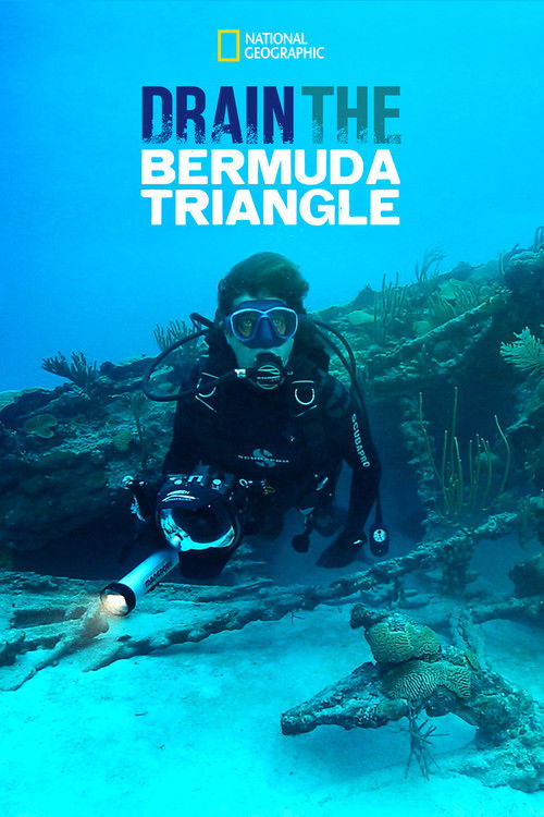 Drain the Bermuda Triangle (2014) poster