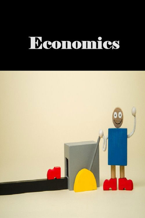 Economics (2020) poster