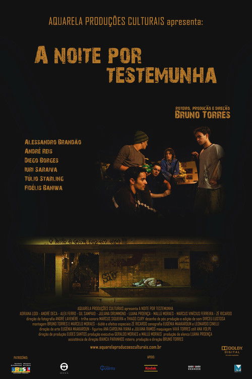 A Noite por Testemunha (2009) poster