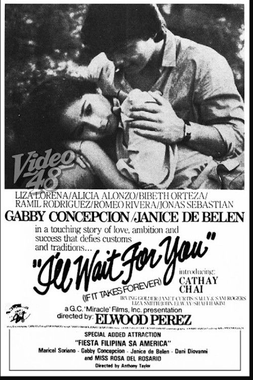 I'll Wait For You (If It Takes Forever) (1983) poster