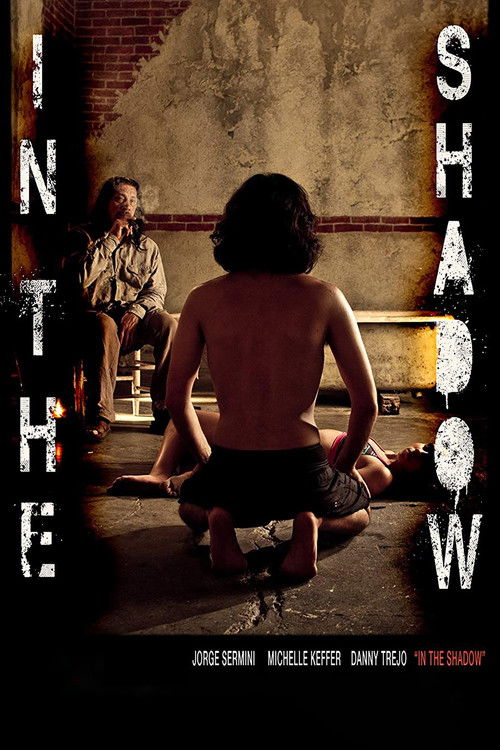 In the Shadow (2011) poster
