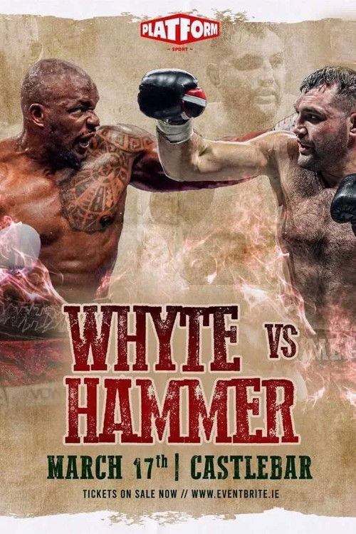 Dillian Whyte vs. Christian Hammer (2024) poster