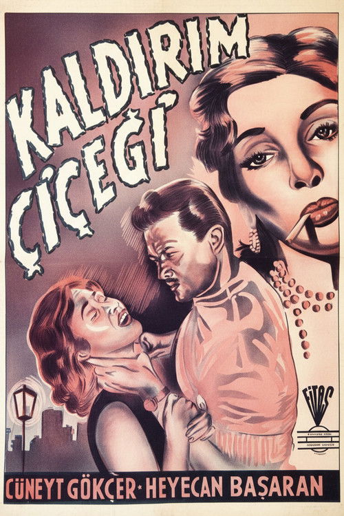 Kaldırım Çiçeği (1953) poster