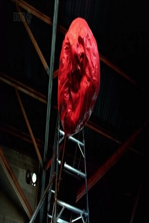 BBC Horizon: Is Everything We Know About The Universe Wrong? (2010) poster