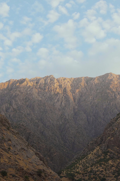 Landscape Suspended (2022) poster