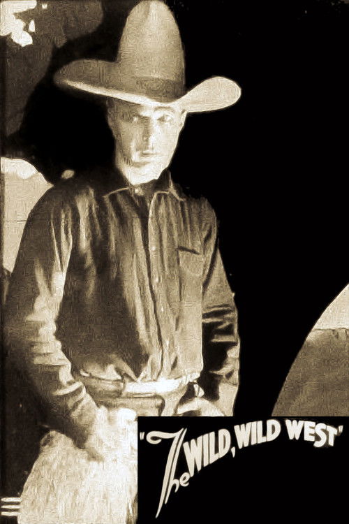 The Wild Wild West (1921) poster