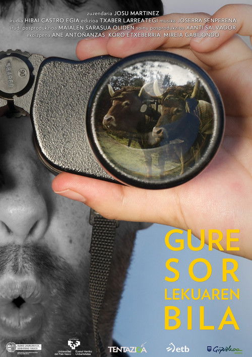 Gure Sor Lekuaren bila (2015) poster