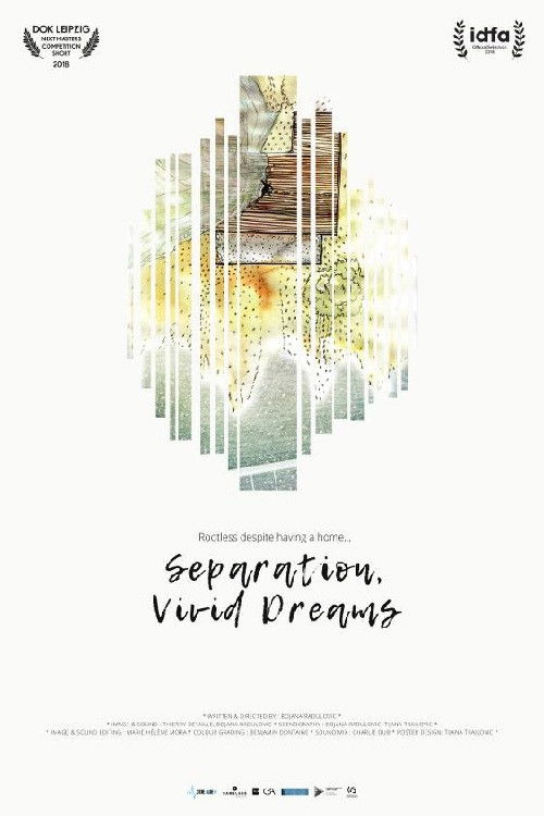 Separation, Vivid Dreams (2018) poster
