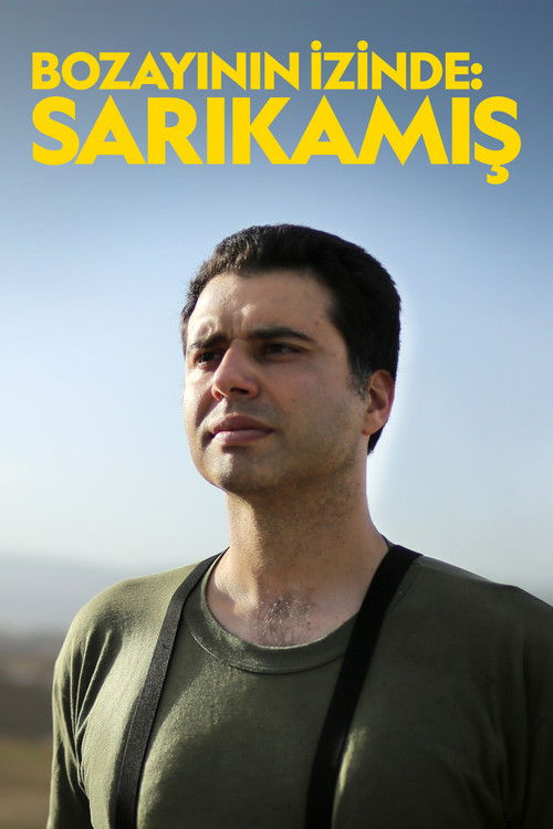 Bozayının İzinde: Sarıkamış (2013) poster