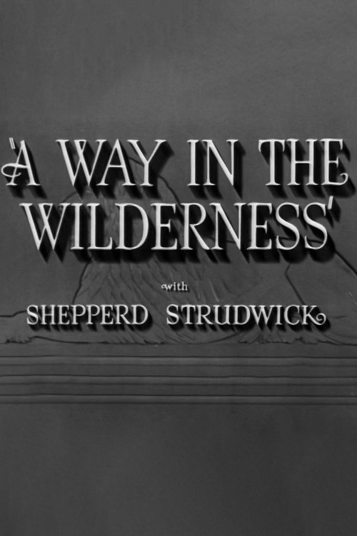 A Way in the Wilderness (1940) poster