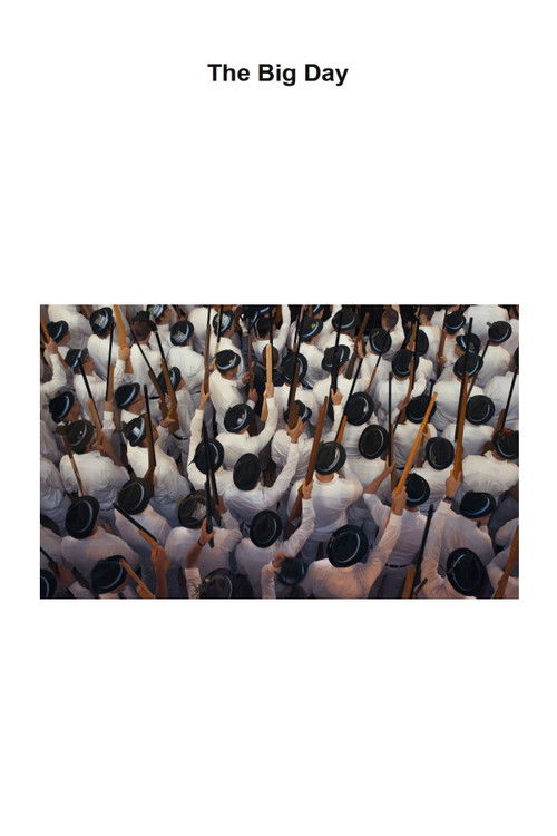 The Big Day (2024) poster