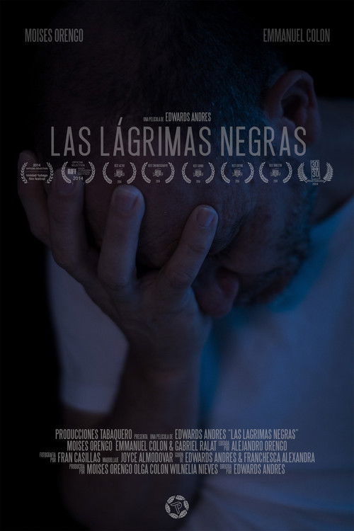 The Obsidian Tears (2014) poster