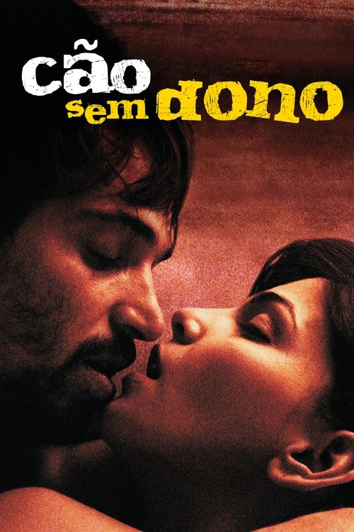 Cão Sem Dono (2007) poster