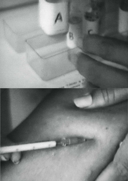 Preparação II (1976) poster