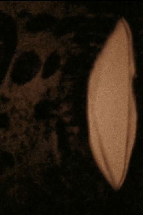 Mémoires imprimées (2009) poster