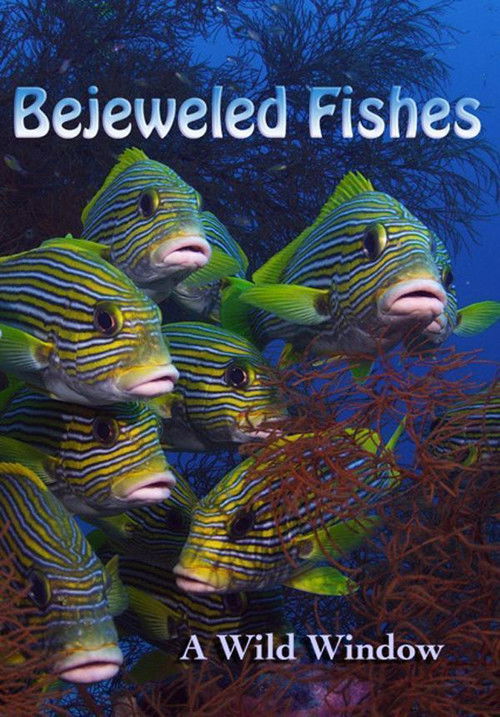 Wild Window: Bejeweled Fishes (2016) poster