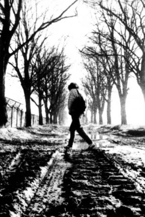 Im Übergang – Protokoll einer Hoffnung (1991) poster