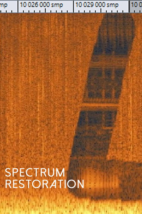 Espectro Restauración (2022) poster