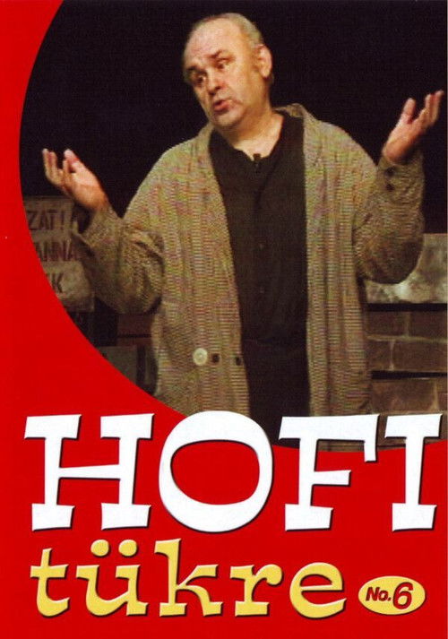 Hofi tükre No.6 (2007) poster