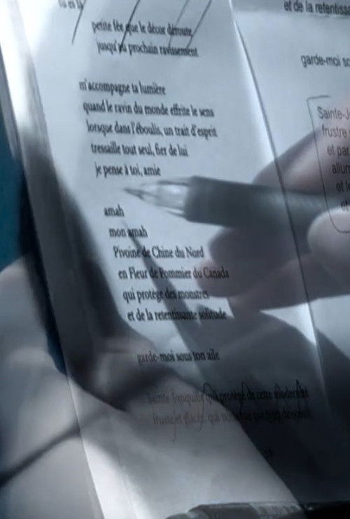 En prière dans le champ magnétique (2014) poster