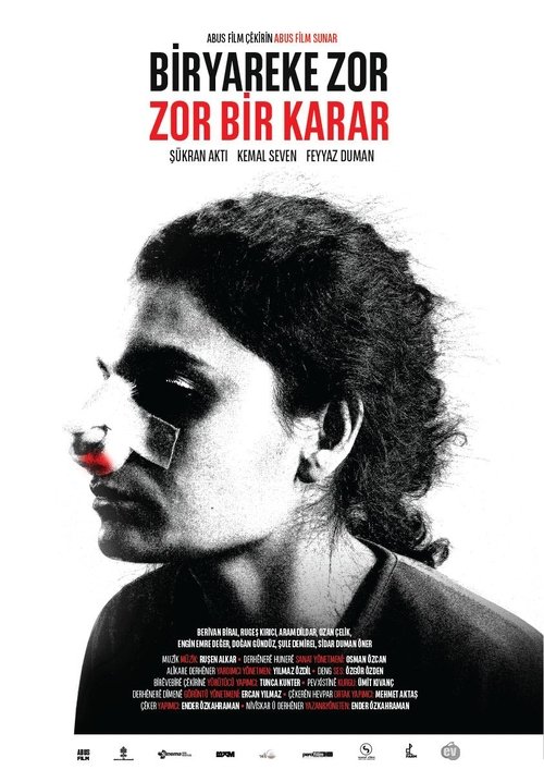 Zor Bir Karar (2017) poster
