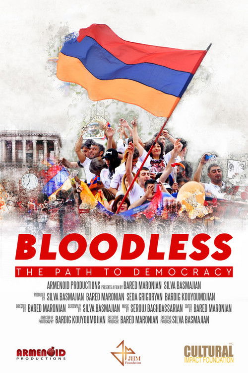 Bloodless: The Path to Democracy (2020) poster
