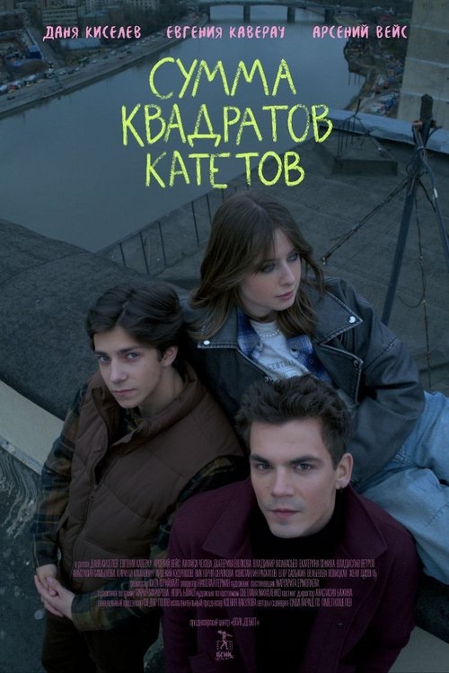 Сумма квадратов катетов (2024) poster
