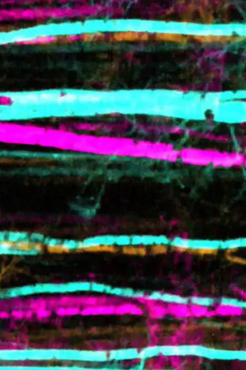 Thompson (2017) poster