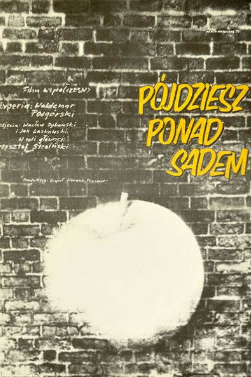 You will succeed (1974) poster