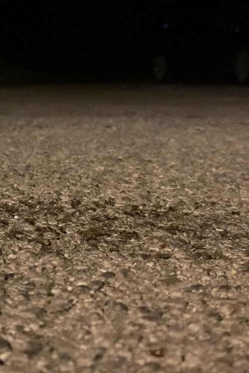 Snails Steadily Stroll the Street 2: Diligent Dirt-Dwellers Dash (Snails Steadily Stroll Lenin Nightcore Remix) (2024) poster