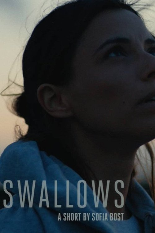 Swallows (2015) poster