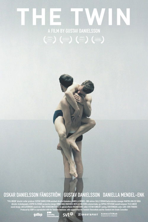 The Twin (2011) poster