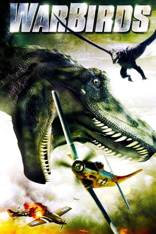 Warbirds (2008) poster