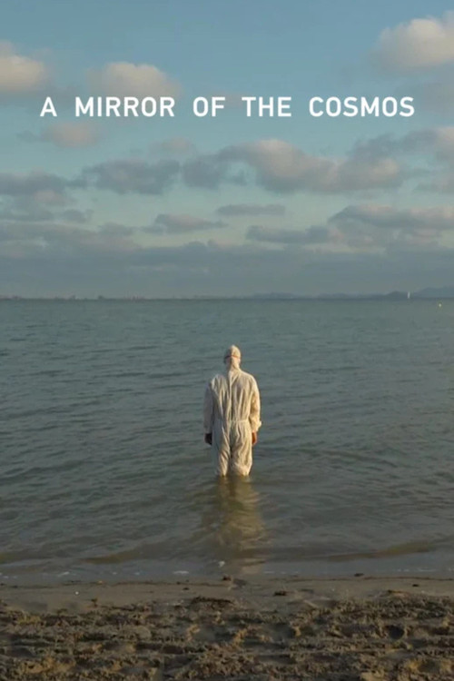 A Mirror of the Cosmos (2023) poster