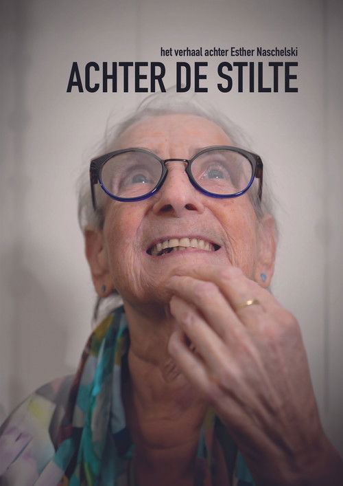 Achter De Stilte poster