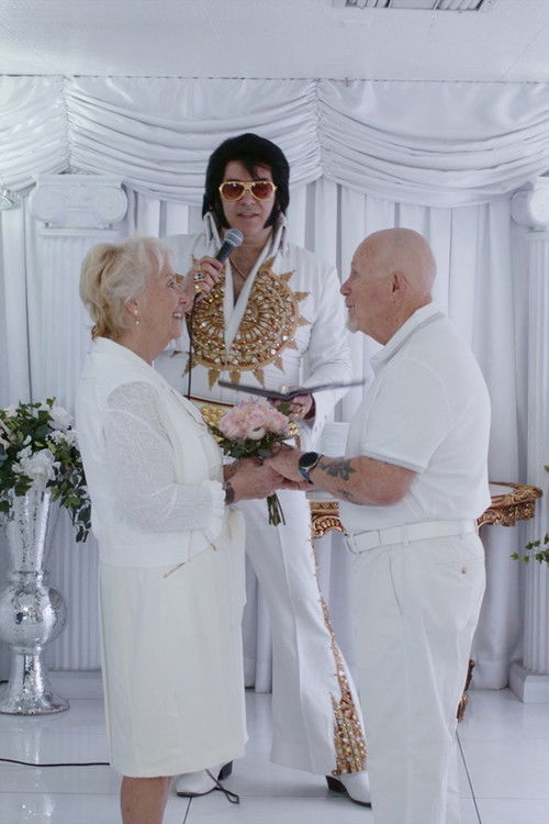 Landscapes of Ending (2026) poster