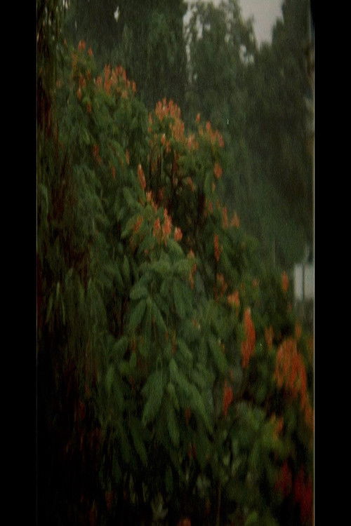 Une Forteresse (2018) poster